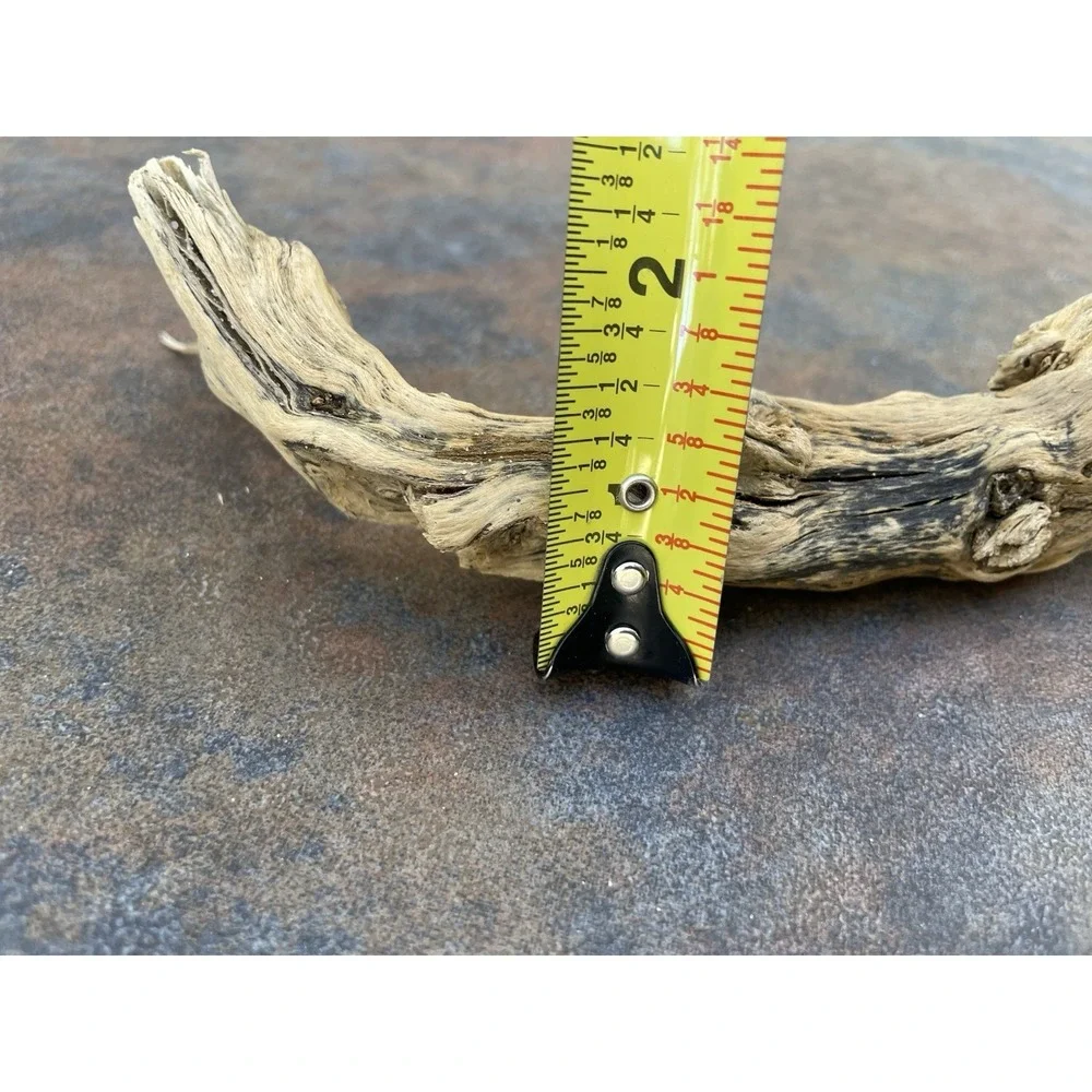 Natural Driftwood for Plants Terrarium Taxidermy‎ Art Projects